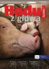 Hoduj z g�ow� �winie