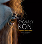 Sygnały koni
