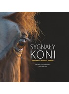 Sygnay konie